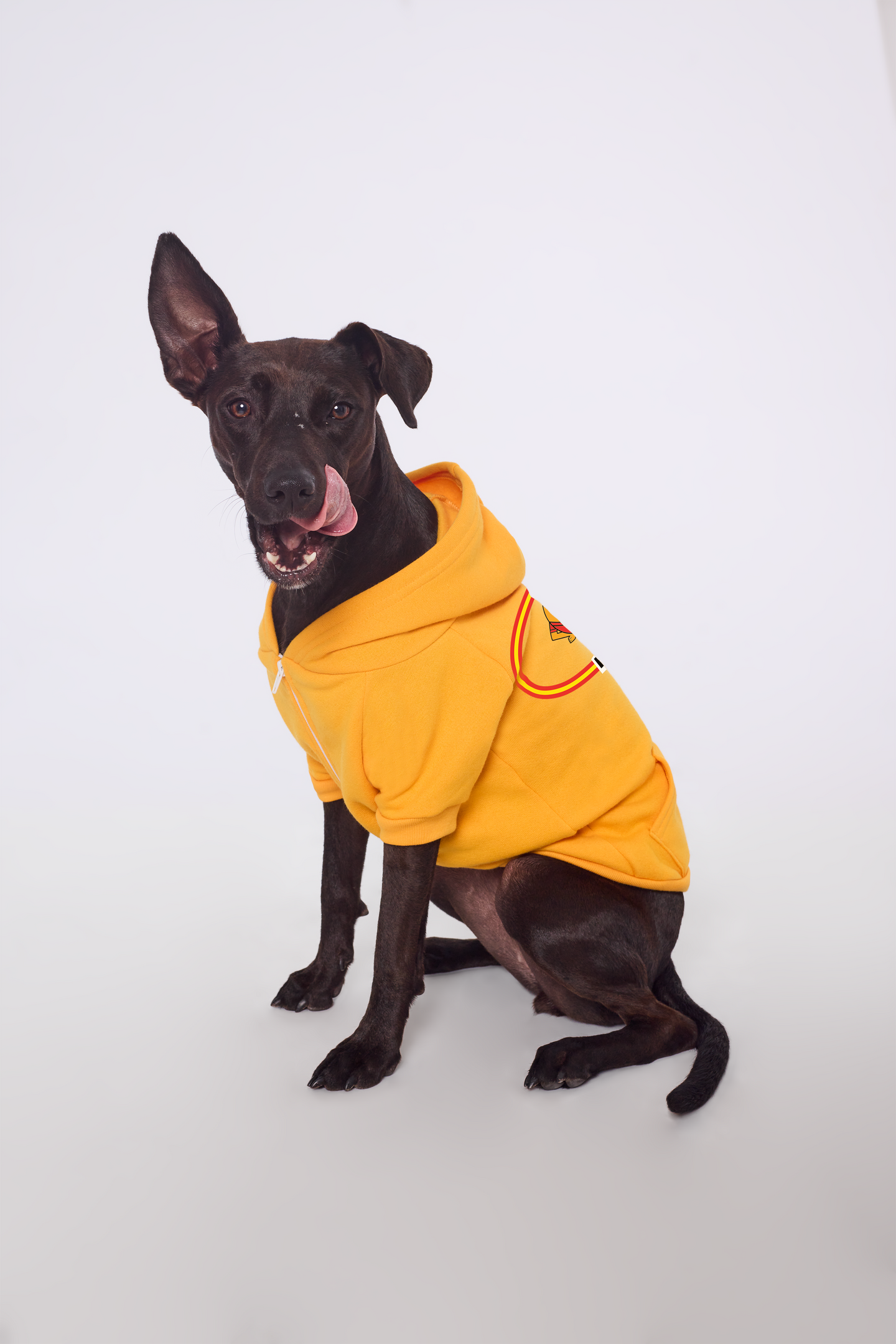 Espana Dog Hoodie