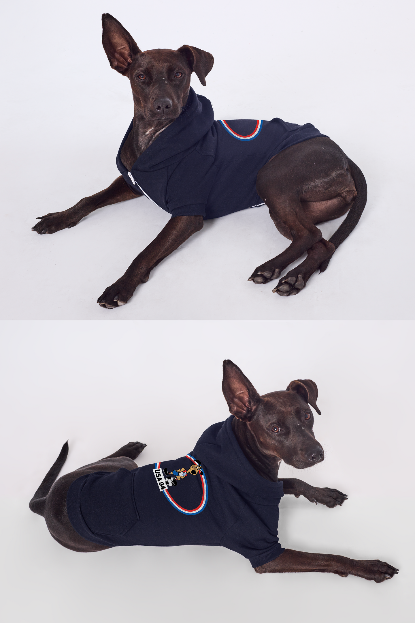 USA Dog Zip Up